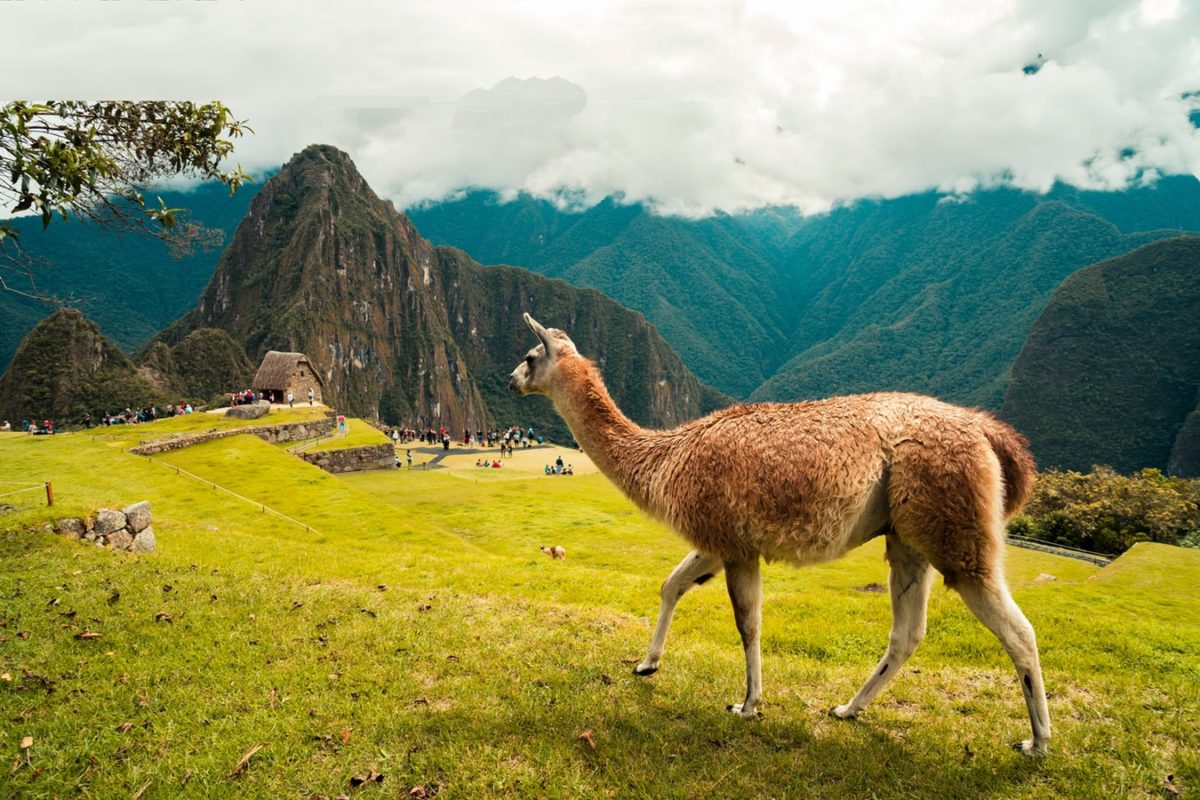 Volunteer in Peru