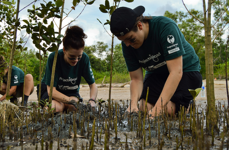 volunteer to plant trees with Projects Abroad