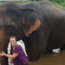 Volunteer Forever with Elephants in Thailand: Ashley Obrycki’s Story