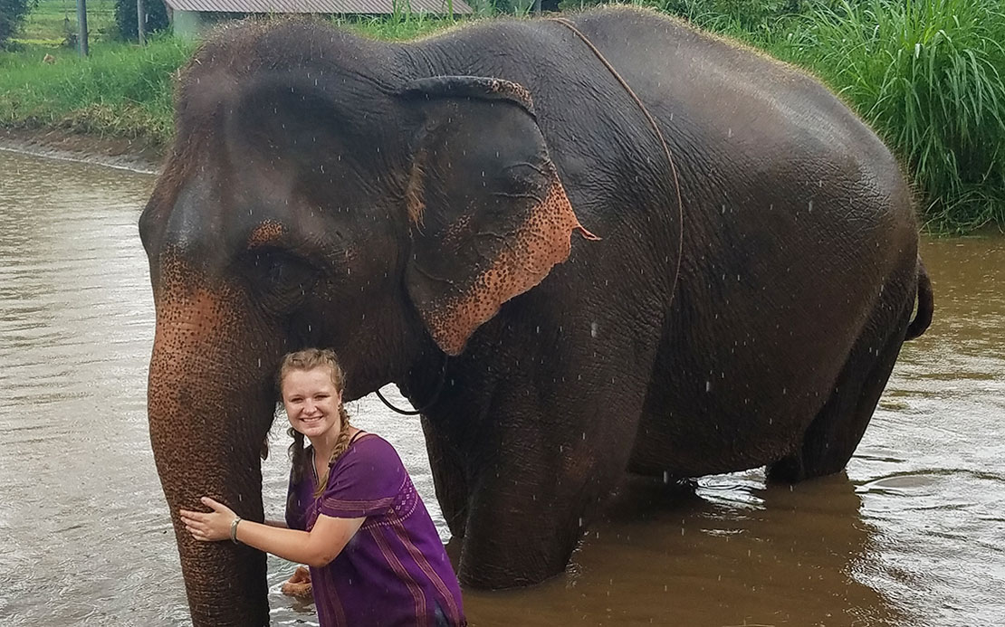 Volunteer Forever with Elephants in Thailand: Ashley Obrycki’s Story