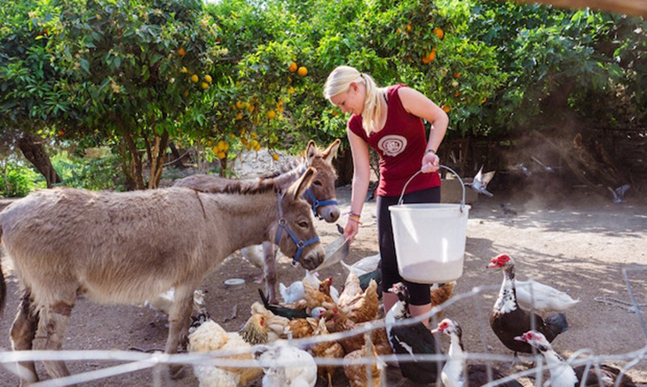 Volunteer Forever - Volunteer and Intern in Italy