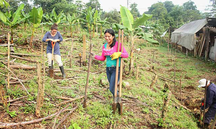 Volunteer Forever - Volunteer Farming and Agriculture Projects