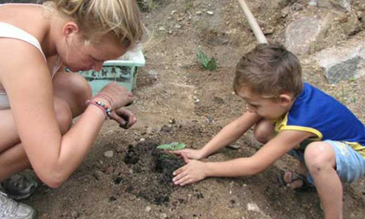 Volunteer Forever - Volunteer Farming and Agriculture Projects