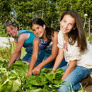 Volunteer Forever - Volunteer Farming and Agriculture Projects