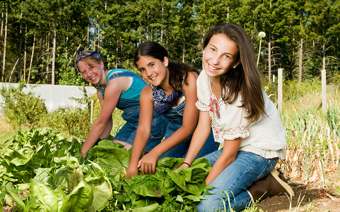 Volunteer Forever - Volunteer Farming and Agriculture Projects