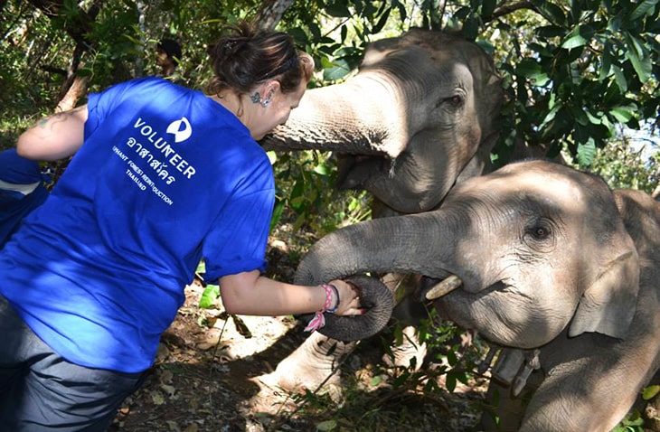 volunteer in Thailand with GVI