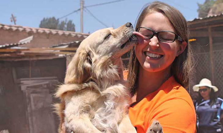 Veterinary Volunteer Programs and Internships