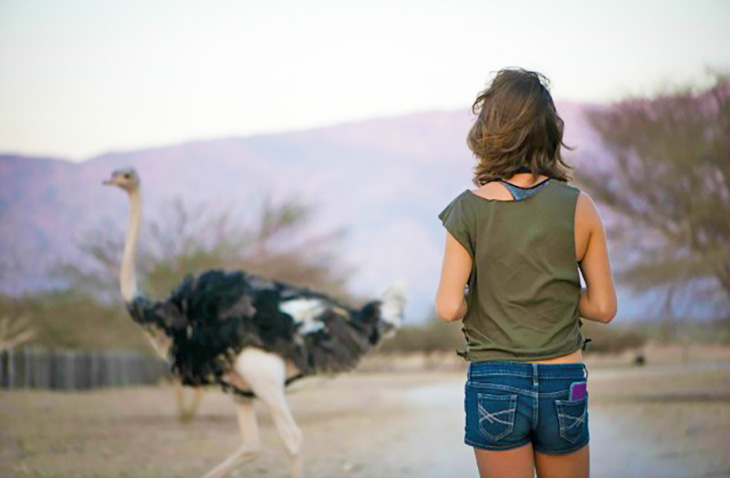 Cheap-Affordable-Volunteer-Programs-GoEco wildlife volunteering with GoEco