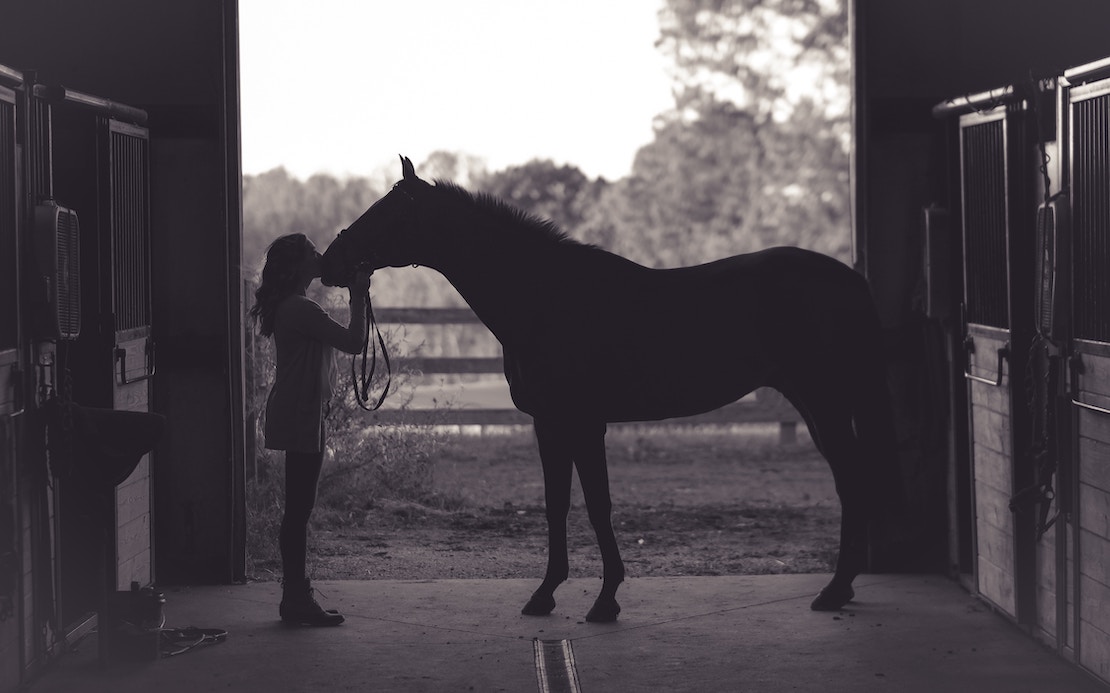 Volunteer with horses