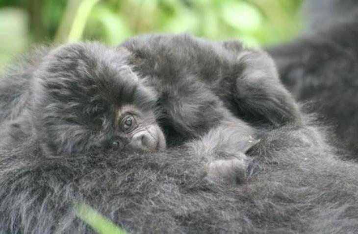 005-frontier-uganda VolunteerForever