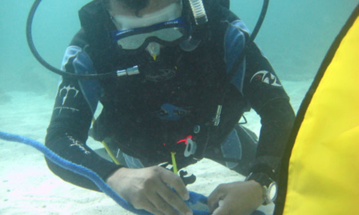 PADI Open Water Certifications & Internships