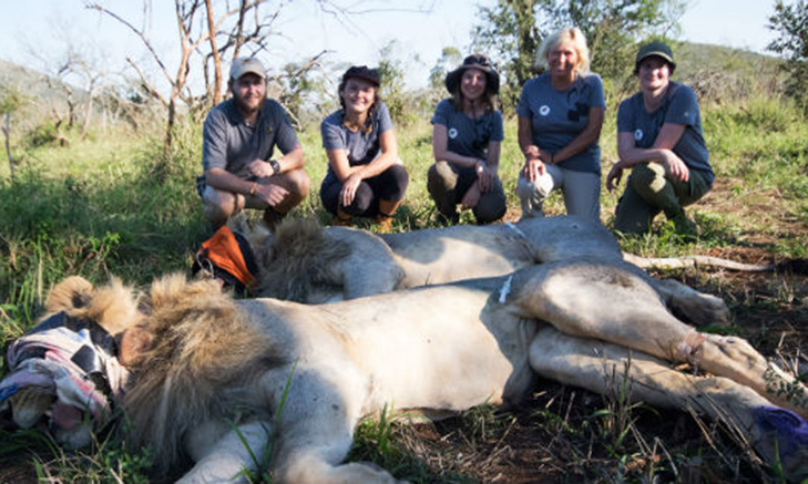Big Cat Conservation