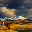 Volunteer Forever - Volunteer in Mongolia