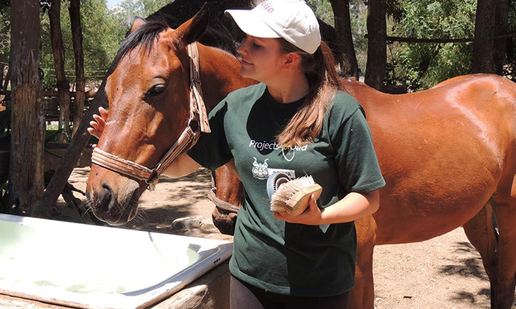 Volunteer Forever - Volunteer in Bolivia