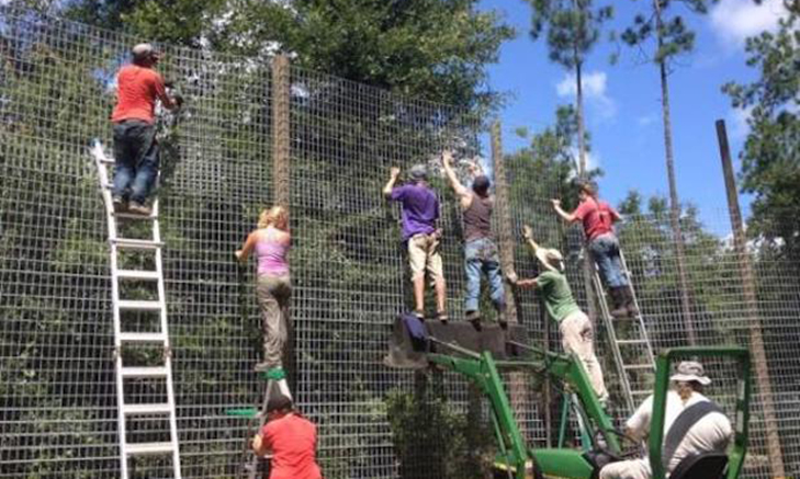 frontier-florida-animal-rescue Volunteer Forever - Volunteer Travel Opportunities in the USA