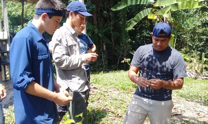 Volunteer Forever - Volunteer in Brazil