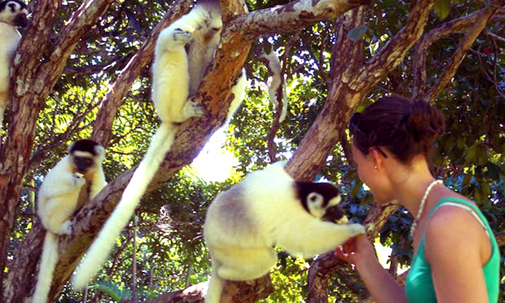 Volunteer Forever - Volunteer in Madagascar