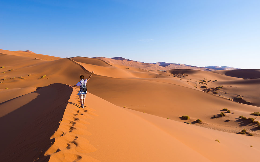 Volunteer Forever - Volunteer in Namibia Wildlife Sanctuaries