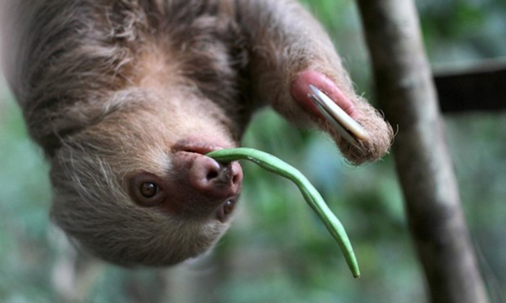 Volunteer Forever - Peru