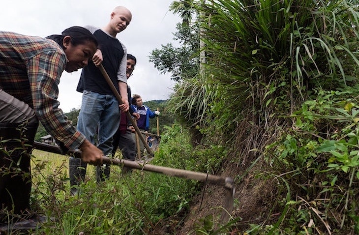 volunteer to plant trees with IVHQ