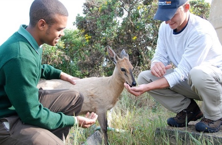 Wildlife, Marine Animal, Veterinary, & Conservation Volunteer Abroad - Connect-123