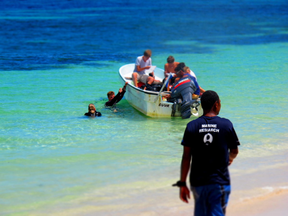Marine Conservation in Mexico_GVI photo VolunteerForever