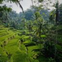 cheap ways to visit Bali