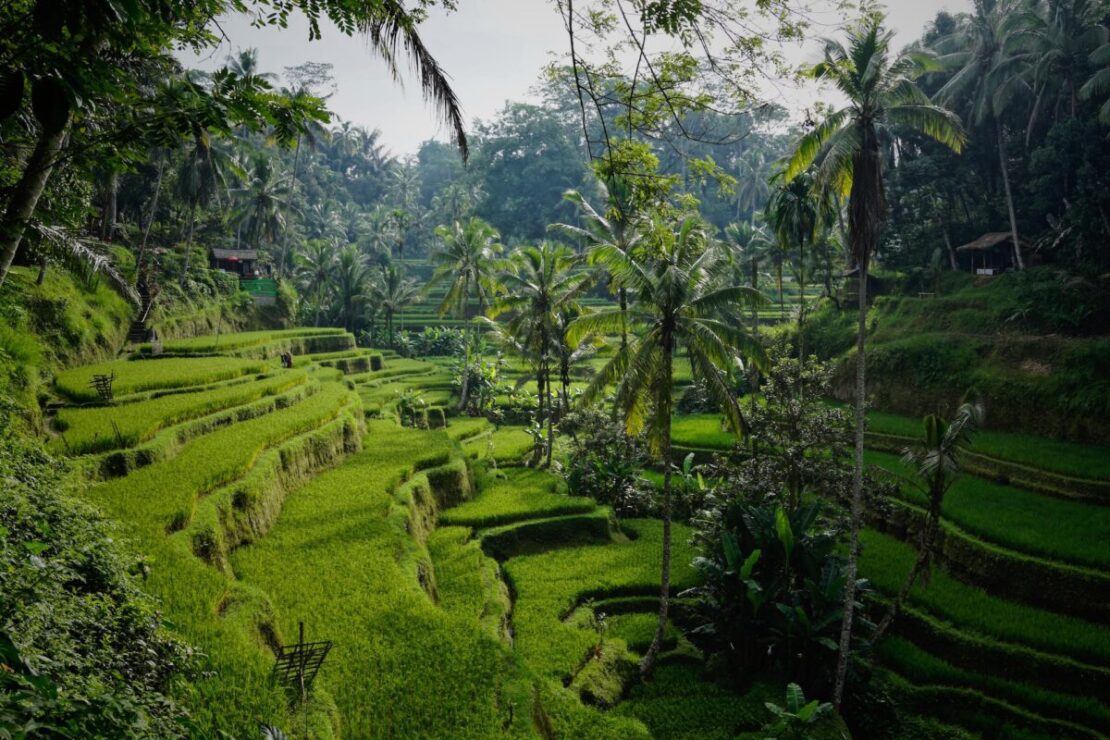 cheap ways to visit Bali