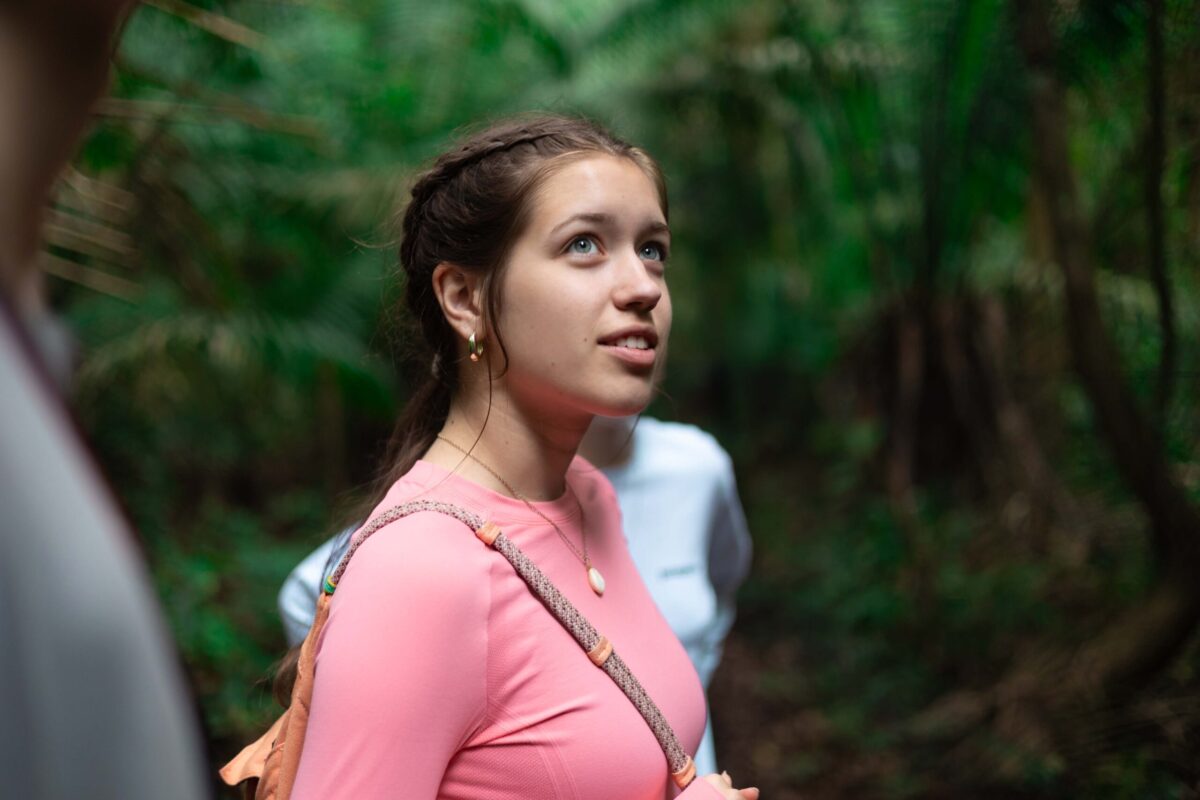 Volunteer looking up at trees Volunteer in Amazon rainforest