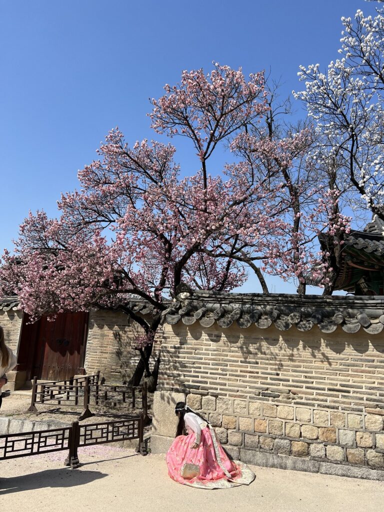 Palace in Seoul Korea