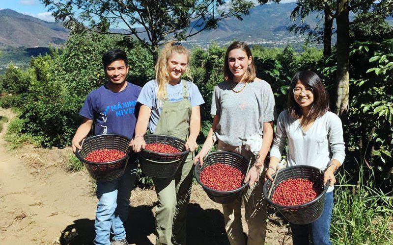 eco-agriculture-volunteer-abroad-GT11 maximo nivel costa rica VolunteerForever