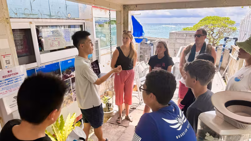 sea-turtle-conservation-internship-okinaka-11 intern hq japan VolunteerForever