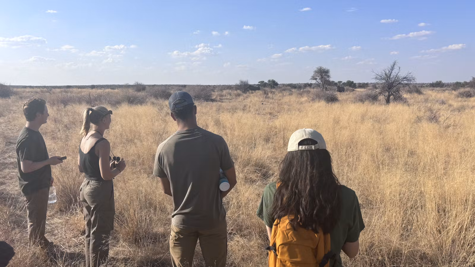 volunteer-abroad-in-namibia-wildlife-conservation-21 ivhq namibia VolunteerForever