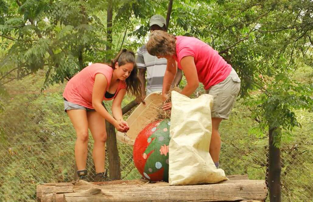 Zimbabwe-Family-Friendly-African-Wildlife-Orphanage15 goeco zimbabwe VolunteerForever